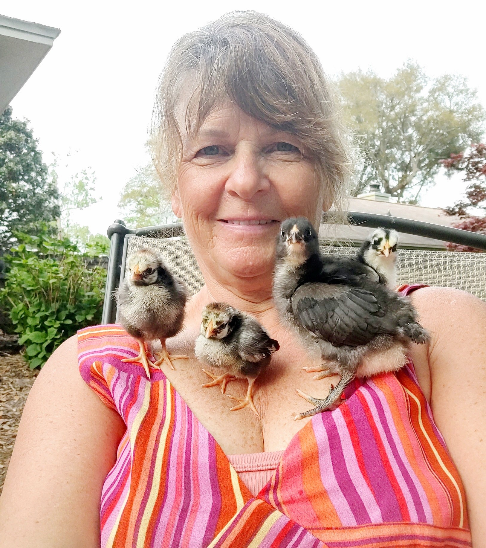 A woman holding four baby chickens on her shoulders